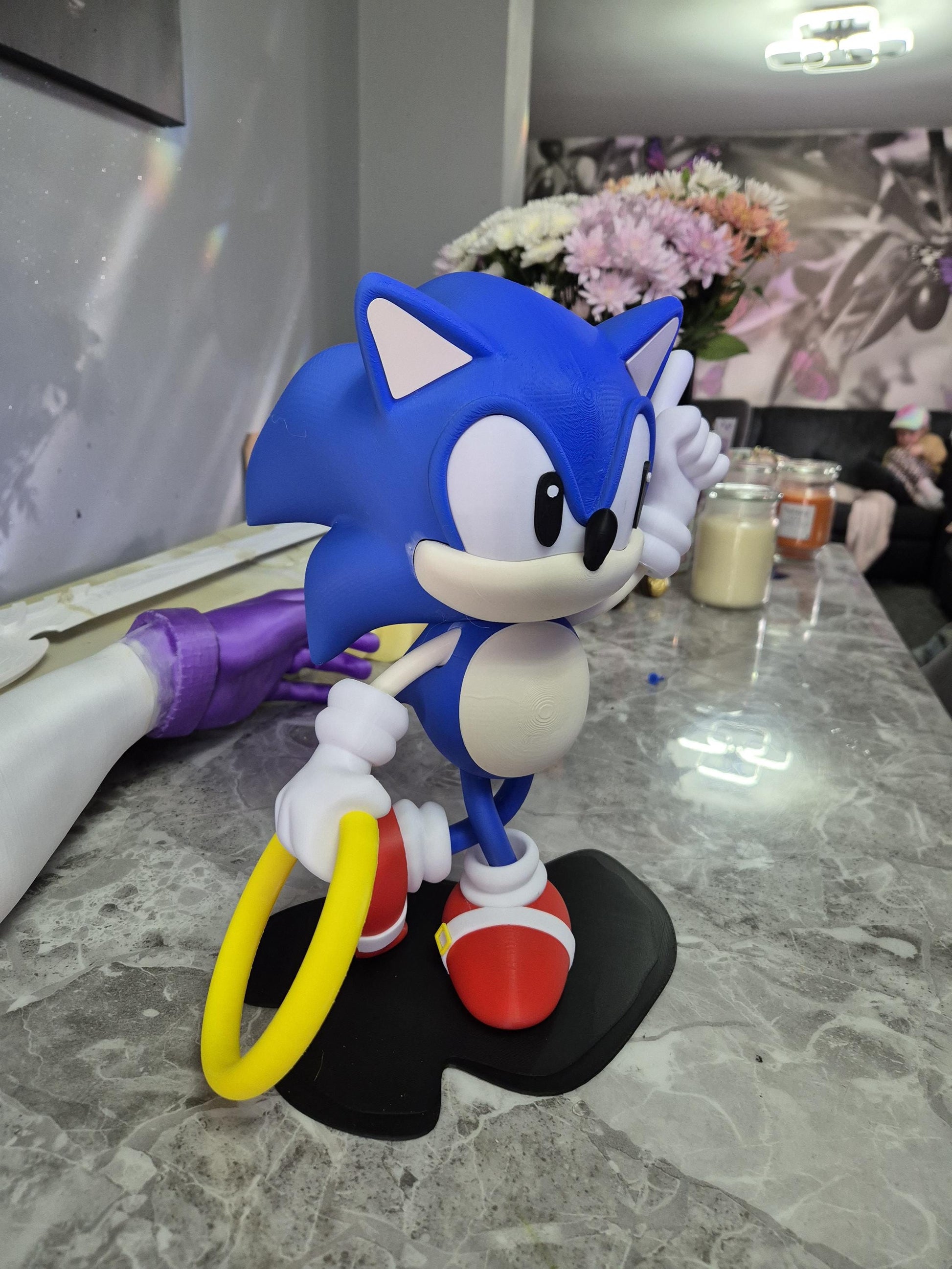 sonic the hedgehog