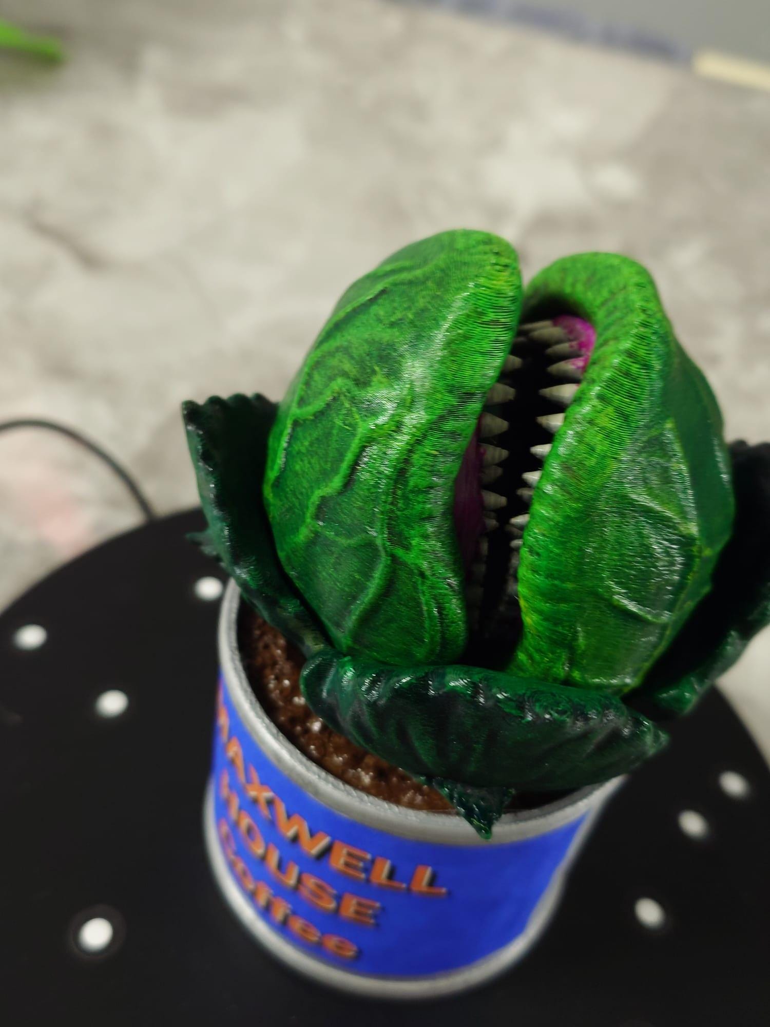 Audrey 2