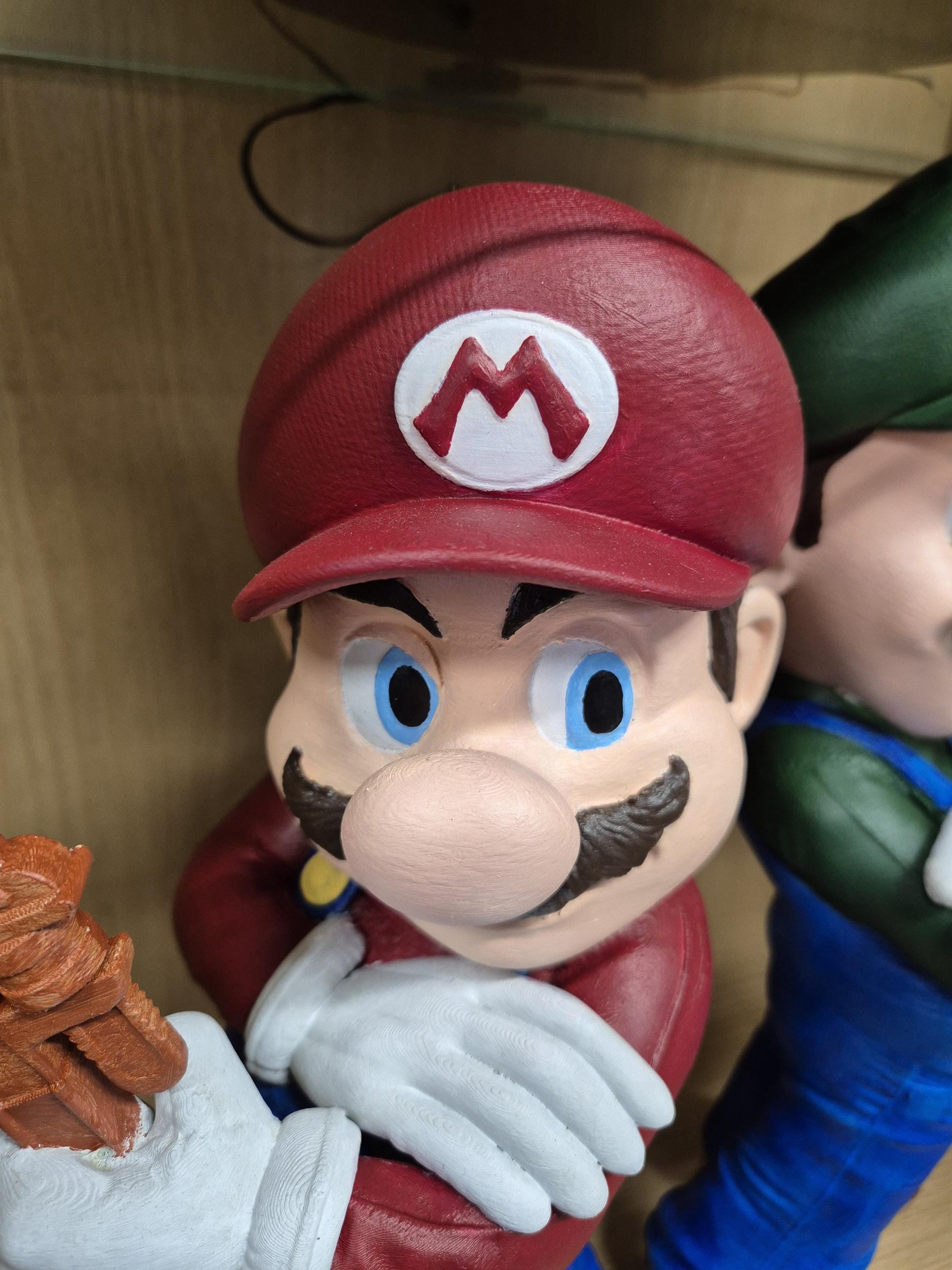 Mario & Luigi