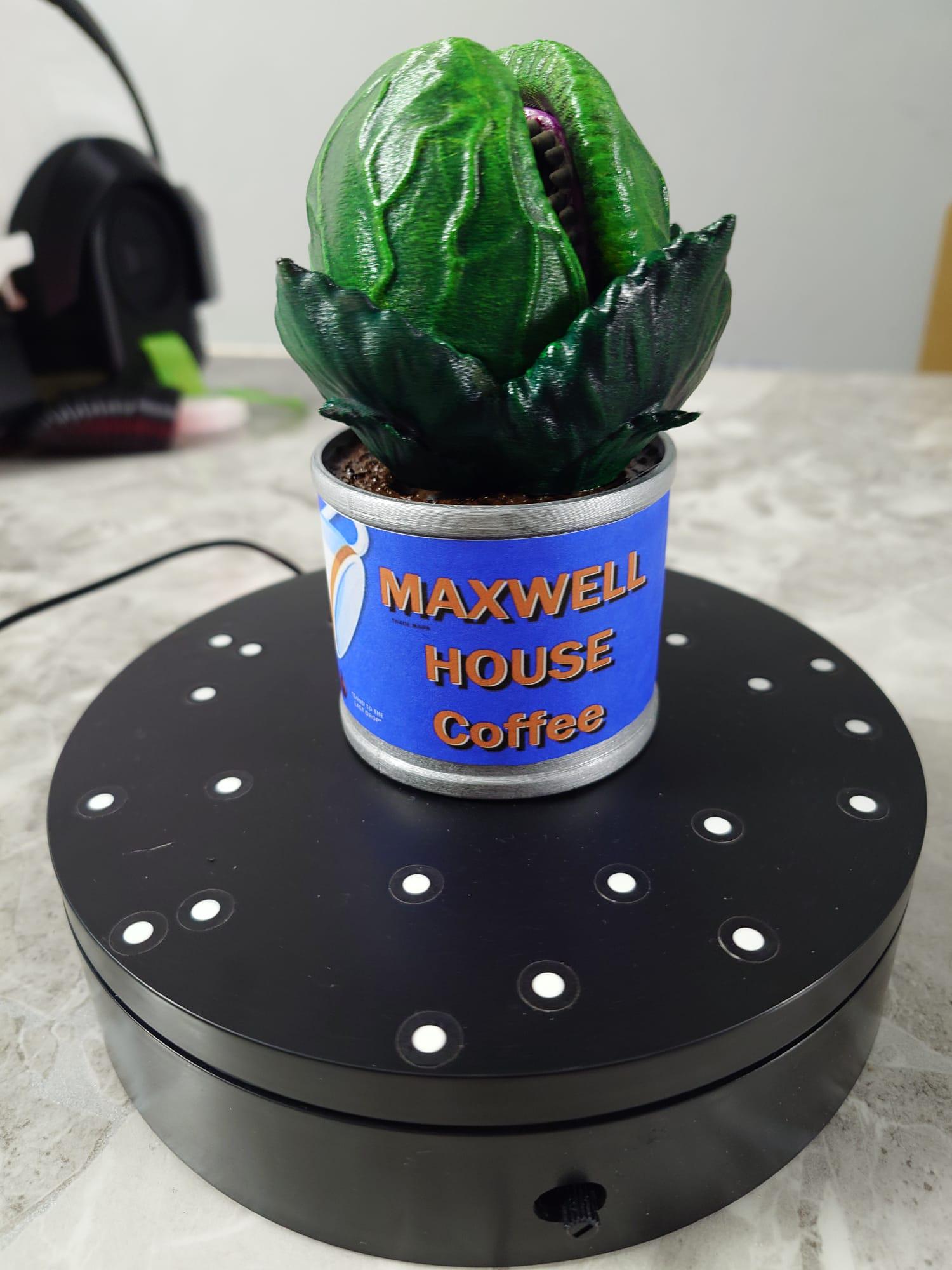 Audrey 2