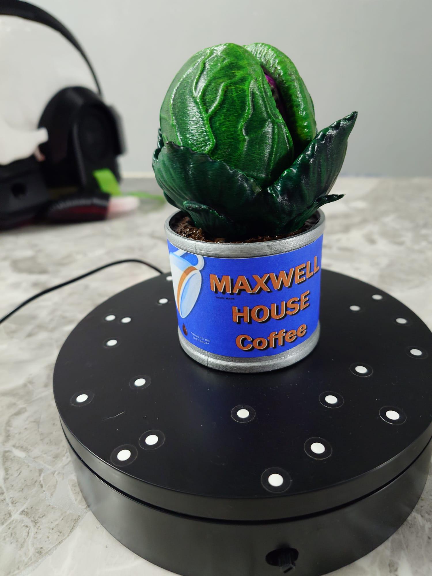 Audrey 2